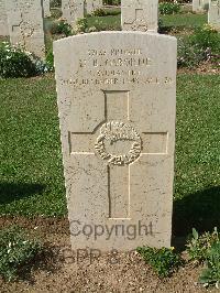 Sangro River War Cemetery - Osborne, Noel Birdwood