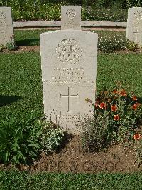 Sangro River War Cemetery - Palmer, Frederick Frank