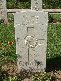 Sangro River War Cemetery - Pascoe, Frederick James