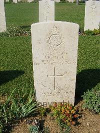 Sangro River War Cemetery - Pettit, John Roland