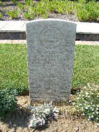 Sangro River War Cemetery - Plant, Basil