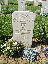 Sangro River War Cemetery - Proles, Robert