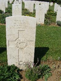 Sangro River War Cemetery - Rakena, Harry