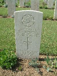 Sangro River War Cemetery - Robinson, David R. M.