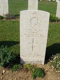 Sangro River War Cemetery - Ryan, William