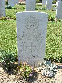 Sangro River War Cemetery - Shelton, Neville Raymond