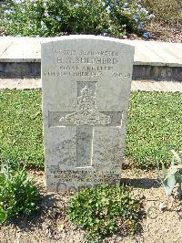 Sangro River War Cemetery - Shepherd, Harold Robert