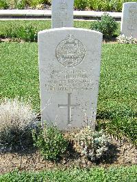 Sangro River War Cemetery - Shepherd, Ronald Stuart