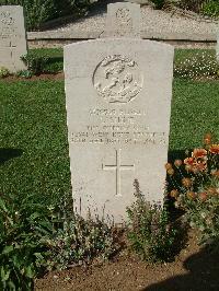 Sangro River War Cemetery - Shine, Cornelius