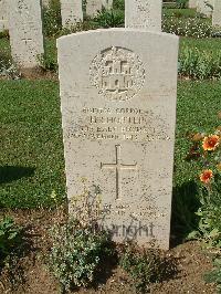 Sangro River War Cemetery - Shorter, Harry
