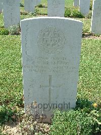 Sangro River War Cemetery - Singleton, Alfred Edward