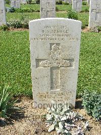 Sangro River War Cemetery - Spruce, Francis Stephen