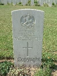 Sangro River War Cemetery - Stead, Ronald