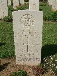 Sangro River War Cemetery - Stephenson, Thomas Frederick
