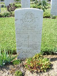 Sangro River War Cemetery - Stones, Dennis