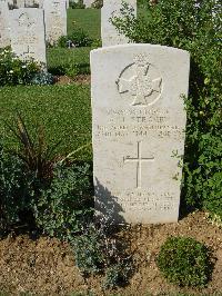 Sangro River War Cemetery - Stracey, Alfred John