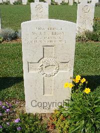 Sangro River War Cemetery - Sullivan, William Joseph