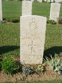 Sangro River War Cemetery - Sutton, Francis Joseph