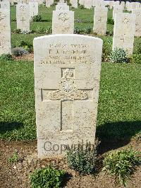 Sangro River War Cemetery - Tavener, Frederick John