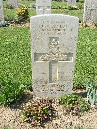 Sangro River War Cemetery - Taylor, Gerald Cecil