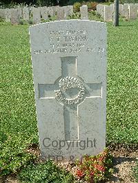 Sangro River War Cemetery - Taylor, Vincent Thomas