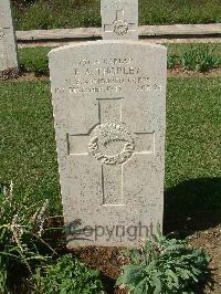 Sangro River War Cemetery - Thorley, Philip Arthur