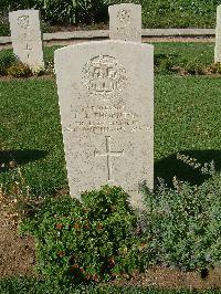 Sangro River War Cemetery - Thornton, Frank James