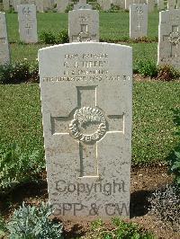 Sangro River War Cemetery - Tiffen, Charles Joseph