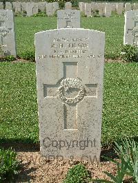 Sangro River War Cemetery - Tilson, David Harold