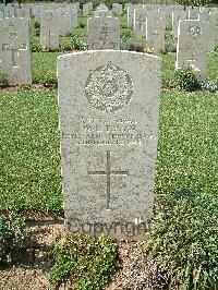 Sangro River War Cemetery - Toman, William George