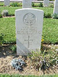 Sangro River War Cemetery - Warne, Frederick Charles George