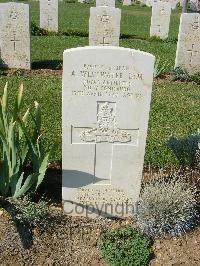 Sangro River War Cemetery - Westwater, Alexander