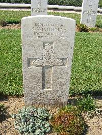 Sangro River War Cemetery - Whatmough, George