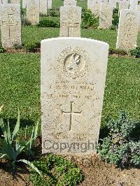 Sangro River War Cemetery - Whitfield, F W