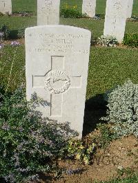 Sangro River War Cemetery - Wiley, Walter Lewis