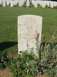 Sangro River War Cemetery - Williams, Berie