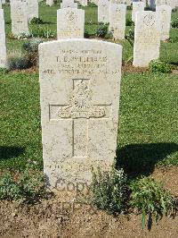 Sangro River War Cemetery - Williams, Thomas David