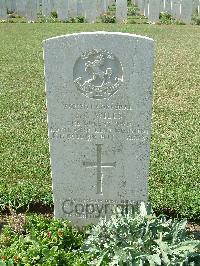 Sangro River War Cemetery - Wills, Stanley Cornelious