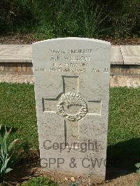 Sangro River War Cemetery - Wilson, Ashley Rene