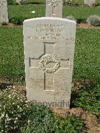 Sangro River War Cemetery - Wilson, Thomas Murray