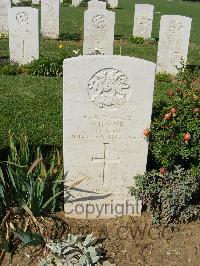 Sangro River War Cemetery - Wise, William Henry
