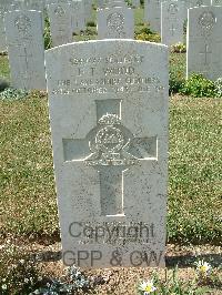 Sangro River War Cemetery - Wood, Frederick Thomas