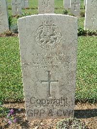 Sangro River War Cemetery - Wood, Gordon Arthur