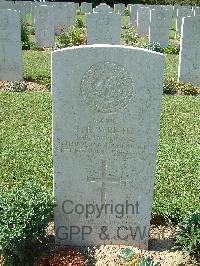 Sangro River War Cemetery - Wright, Edward Roy