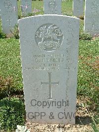 Sangro River War Cemetery - Yeeles, Robert James