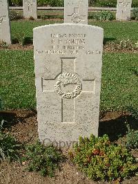 Sangro River War Cemetery - Young, Frank Peter