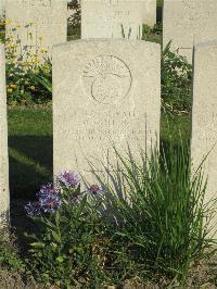 Noeux-Les-Mines Communal Cemetery - Collins, D