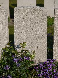 Noeux-Les-Mines Communal Cemetery - Pettigrew, M
