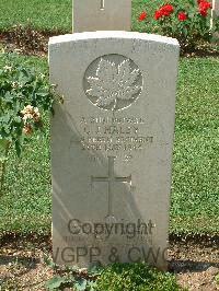 Cassino War Cemetery - Haley, George Joseph