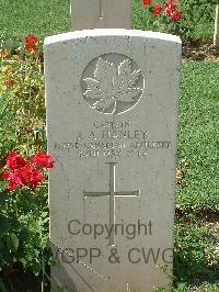 Cassino War Cemetery - Hanley, John Alexander